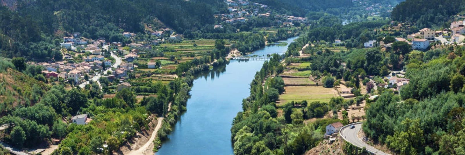 Le mondego