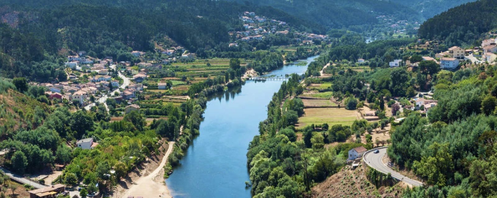 Le mondego